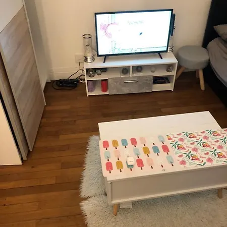 Studio Entier De 25m2 Pres De Paris Tres Cosy Asnières